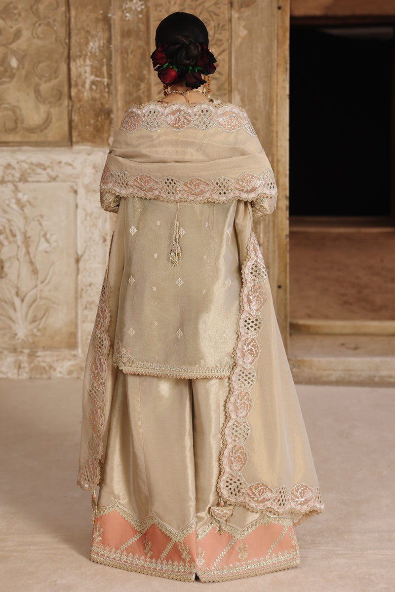 RH-07 AMEERA
